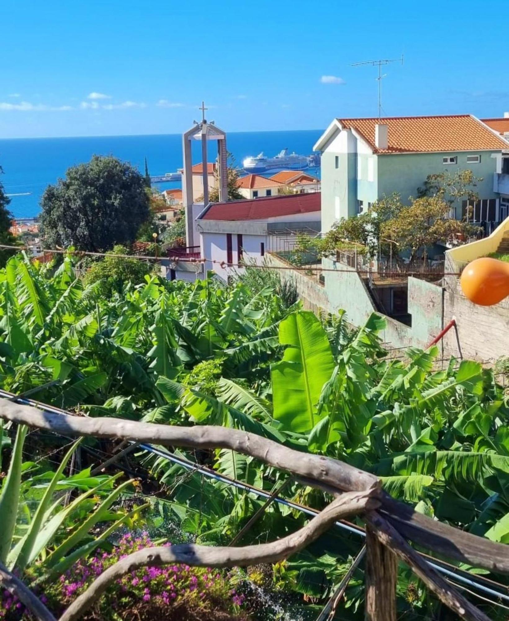 Villa Catanho Funchal  Exterior foto